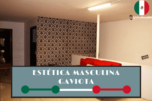Estética masculina Gaviota